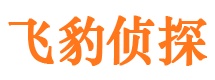 颍东外遇出轨调查取证